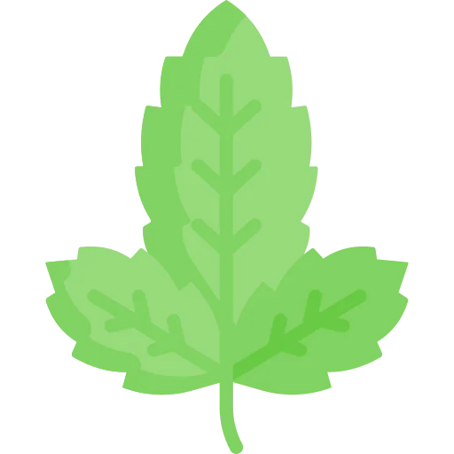 Basil icon