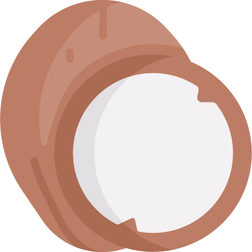 Coconut icon