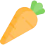 Carrot icon 64x64