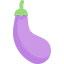 Eggplant icon 64x64