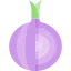 Onion icon 64x64