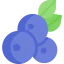 Blueberry icon 64x64