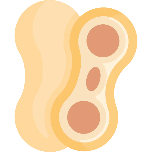 Peanut icon