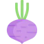Beet icon 64x64