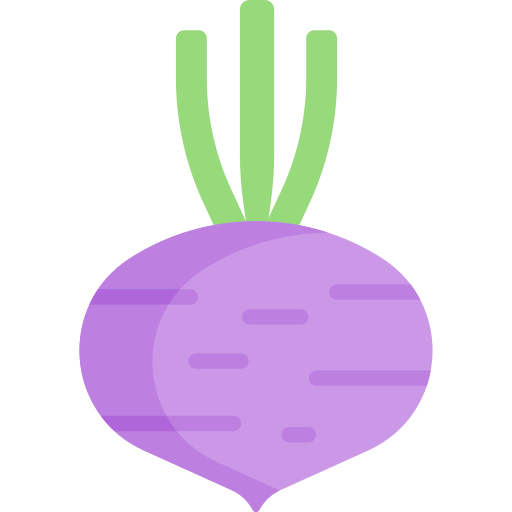 Beet icon