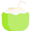 Coconut water Symbol 64x64