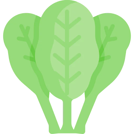 Spinach icon