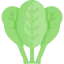 Spinach biểu tượng 64x64