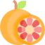 Grapefruit Ikona 64x64