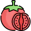 Tomato icon 64x64