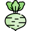 Kohlrabi icon 64x64