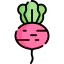Radish icon 64x64