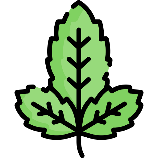 Basil icon