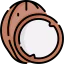 Coconut icon 64x64