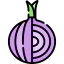 Onion icon 64x64