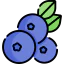 Blueberry icon 64x64