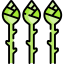 Asparagus icon 64x64