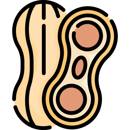 Peanut icon