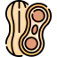 Peanut icon 64x64