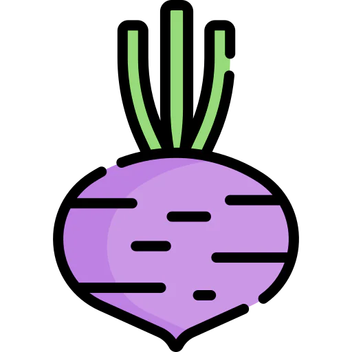 Beet icon
