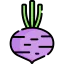 Beet icon 64x64