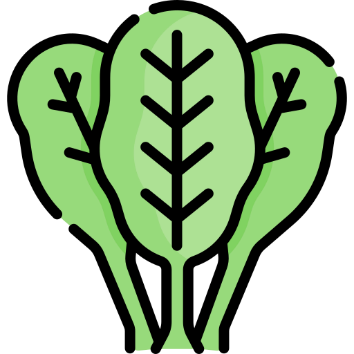 Spinach icon