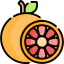 Grapefruit Ikona 64x64