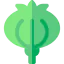 Opium icon 64x64