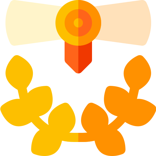 Certificate icon