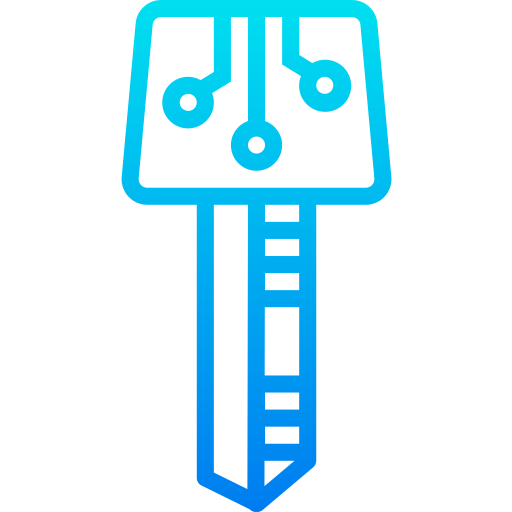 Smart key icon