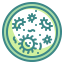 Microorganism icon 64x64