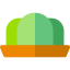 Jelly icon 64x64
