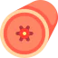 Bronchial tube icon 64x64