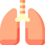 Lungs icon 64x64
