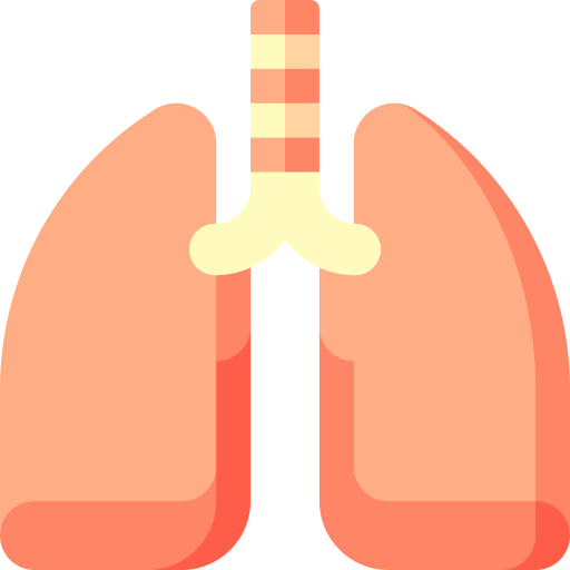 Lungs icon