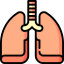 Lungs icon 64x64