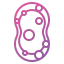 Sponge icon 64x64