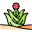Cactus icon 64x64