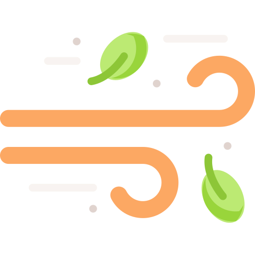 Wind icon
