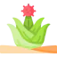 Cactus icon 64x64