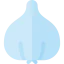 Garlic icon 64x64