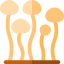 Enokitake icon 64x64