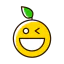 Wink Ikona 64x64