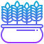 Barley icon 64x64