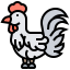 Chicken icon 64x64