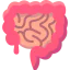 Intestine icon 64x64
