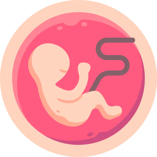 Embryo icon