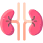 Kidney icon 64x64