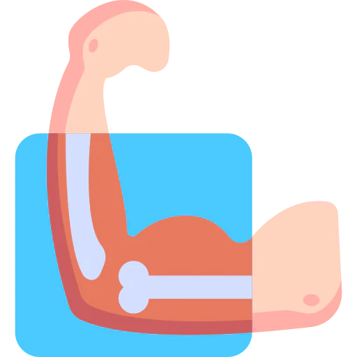 X ray icon