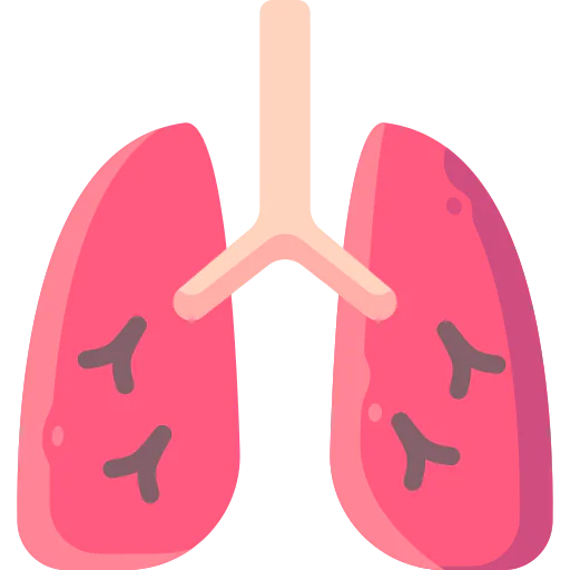 Lungs icon